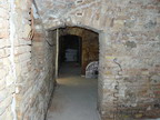 OSP Danubius